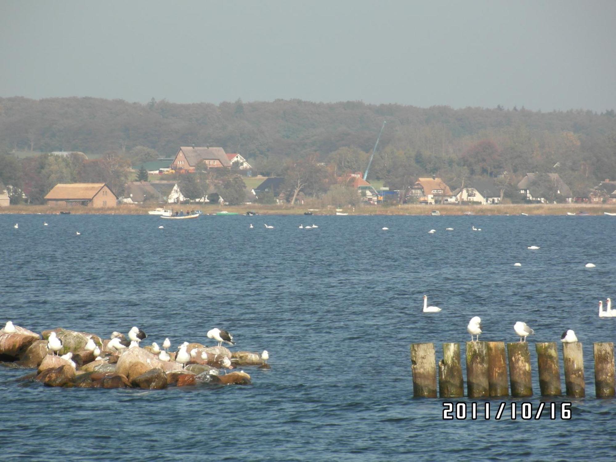 Pension Deichgraf Middelhagen Luaran gambar